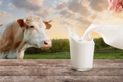 Current Situation of Highly Pathogenic H5N1 Avian Influenza in Dairy Cows.